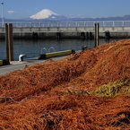 週末は海岸で－４