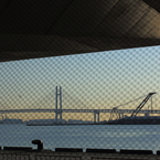 Jonathan and Yokohama Bay Bridge