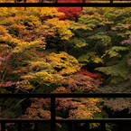 彩の瑠璃光院