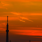夕暮れのスカイツリー