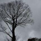 IMG_7382_640