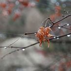 IMG_7384_640