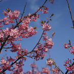 青空
