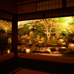圓徳院北庭