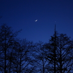 春の夜の出会い