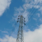 計6本。