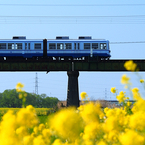車輪の唄