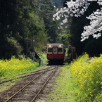 旅の思い出