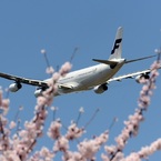 ☆☆　青い空・花見して来ました　☆☆
