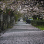 雨の日曜日の朝