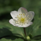P4025579