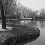 水辺の風景Ⅱ