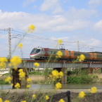 花としおかぜ