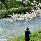 なに写る　春心