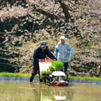 いつまでも元気で 3