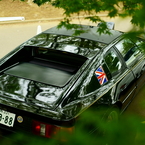 楓と共に