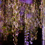 DSC02444