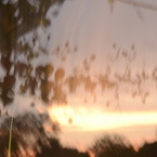 夕暮れ