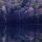 懐かしの昭和歌謡　　　　　湖の決心
