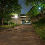 夜の散歩道