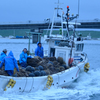 ぷらっと旅　サロマ湖　栄浦漁港の朝　安堵