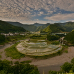 あらぎ島