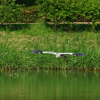 IMGP1100