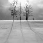 暮れる雪原