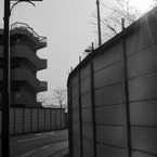 多摩川(2010-2-22)-5