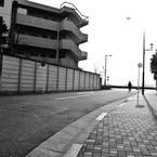 多摩川(2010-2-22)-6
