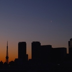 東京残照