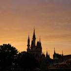 夕景