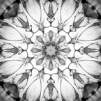 Flower of Medal２