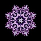 宝花2