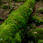 20140614