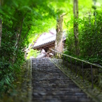 鈴虫寺