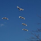 鶴居村の空　－１