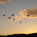 鶴居村の空　－２