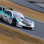 ペトロナストムスSC430　アンドレロッテラー
