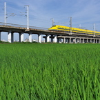ドクターイエローとの遭遇４５（水田６）