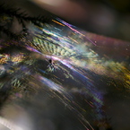 Rainbow Maker
