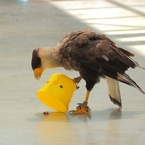 めーっけ（●＾o＾●）