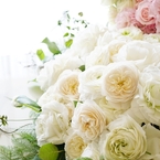 Anniversary Flower