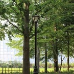 洞峰公園　3
