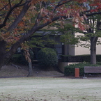 のこる　その5