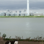 平穏な日曜日