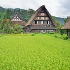 みのり