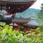 寺院と緑01