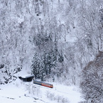 キハが行く-20100104-142842_02