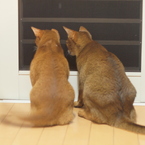 共通の利害